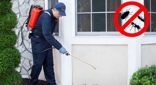 Toroslar Karınca İlaçlama böcek ilaçlama ve haşere kontrolü — ilaclama-tr.com